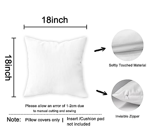 Anxiety Coping Statements Decorative Double-Sided Throw Pillow Covers 18×18 Inch, School Counseling Pillow Cases Cushion for Bedroom Living Room, Mental Health Therapy Women Men Kids Gifts