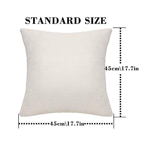 Boundaries Reminder Gift Rainbow Throw Pillow Covers 18x18 Inch Mental Health Themed Decor for Home Kids Teens Kids Adults Women Men Inspirational Gift(Boundaries)