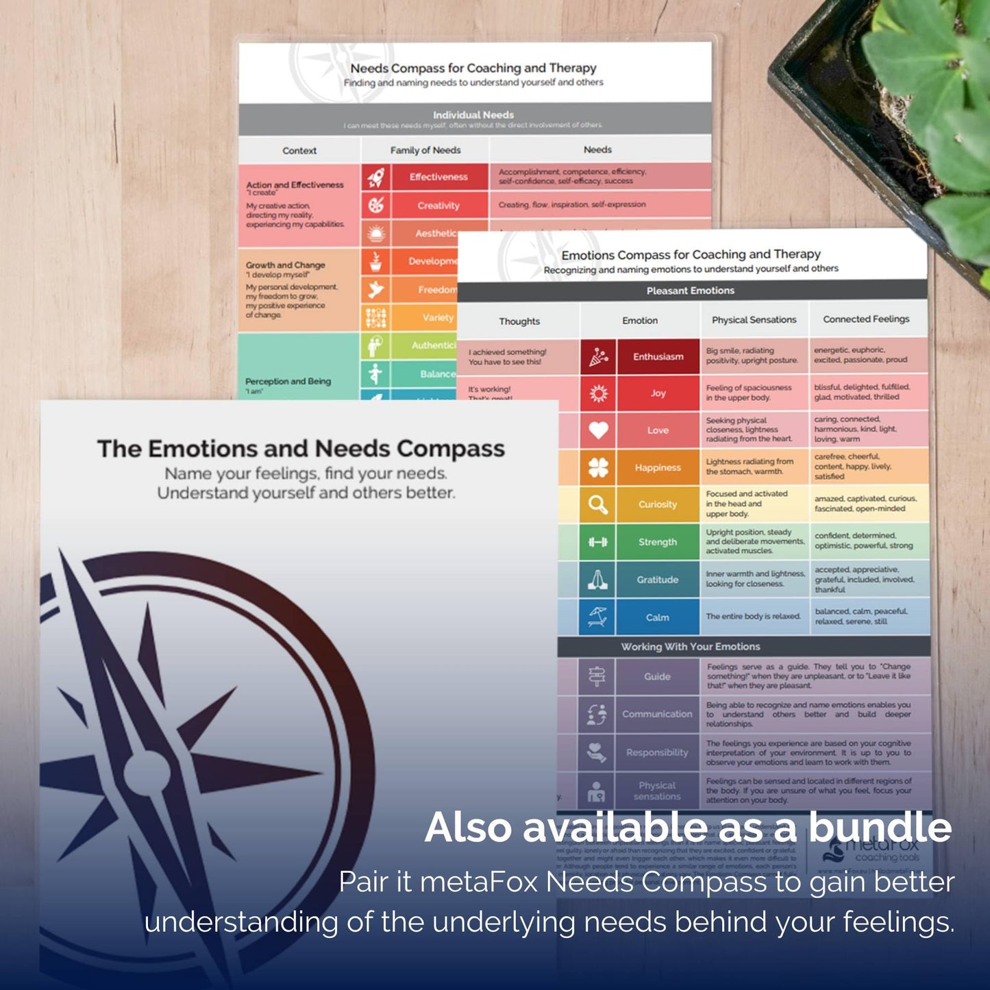 metaFox Emotions Compass – Laminated Feelings Chart for Adults & Therapists, Emotional Chart for Self-Reflection, Therapy & Coaching